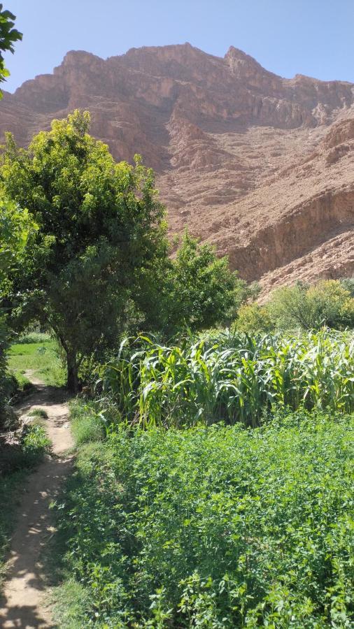 Riad Dar Ahlam Aït Baha Esterno foto