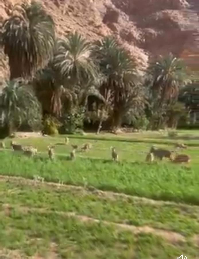 Riad Dar Ahlam Aït Baha Esterno foto